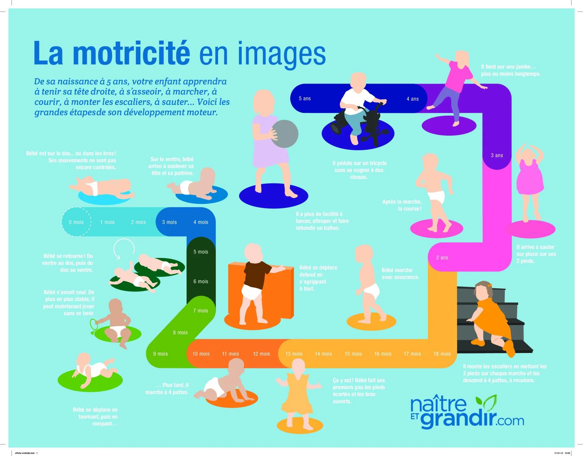 Affiche motricite etapes developpement 1 pdf